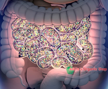 Microbiota, inmunidad, digestión y función cerebral